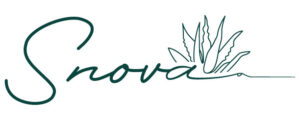 Logo--E-Snova
